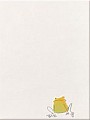 Quaaak Decor Frog Sitting